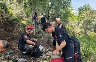 Dağlık alanda otlarken mağaraya düşen inek mağaraya...