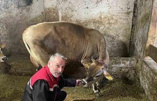 Danimarka ve Amerika’dan getirildiler, Of’a kısa...