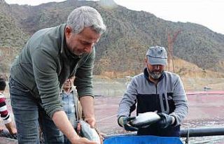 Denizi olmayan Erzurum’da yılda 300 tona yakın...