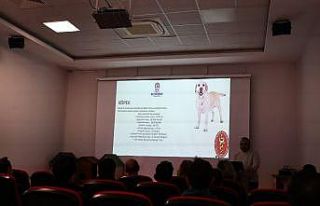 Denizli’de pet shoplara eğitim desteği verdi