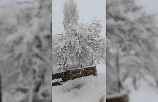 Denizli’nin yüksek kesimleri baharda beyaza büründü