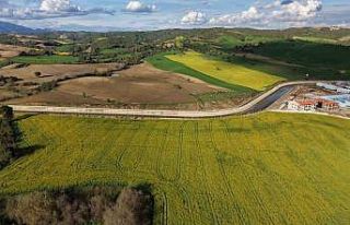 Devlet destekli kanola üretimi Adanalı çiftçinin...