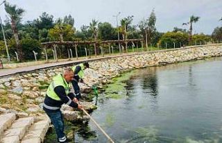 Didim’de temizlik ve düzenleme çalışmaları...