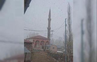 Diyadin’de nisan karı