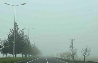 Diyarbakır güne sisle uyandı