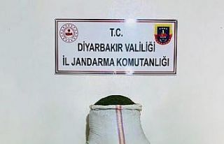 Diyarbakır’da 22 kilo esrar ele geçirildi