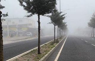 Diyarbakır’da sis etkili oldu