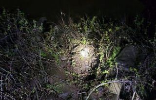 Diyarbakır’da üzerinde oynadıkları kayanın...