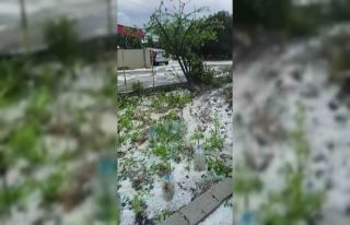 Dolu yağışı beyaza bürüdü