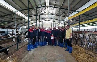 Düzce DERİM uygulamasında pilot il oldu