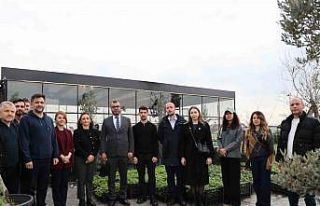 Düzce’de fındık dışında yetişen doğal ürünler...