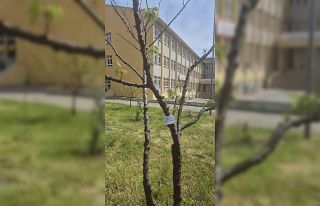 Edirne İlhami Ertem Anadolu Lisesi öğrencilerinden...