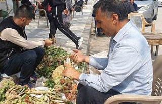 Elazığ’da bahar otları tezgahlarda yerini aldı