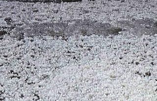 Elazığ’da dolu etkili oldu