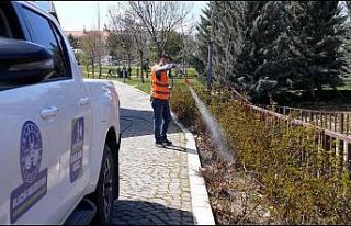 Elazığ’da haşereyle mücadele sürüyor