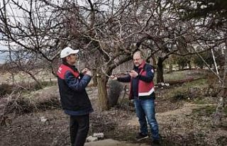 Elazığ’da zirai don mesaisi