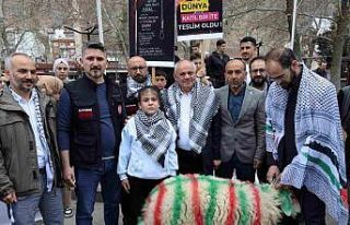 Elleriyle besleyip büyüttüğü kuzuyu Gazze’ye...