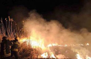 Erzincan’da anız yangını korkuttu