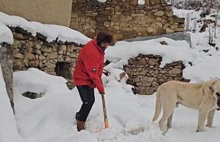 Erzincan’da hava soğudu, yüksek kesimlere kar...