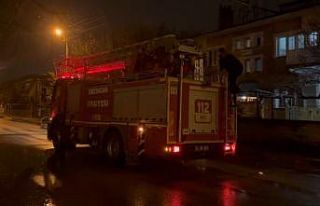 Erzincan’da mahsur kalan kedi itfaiye ekiplerince...