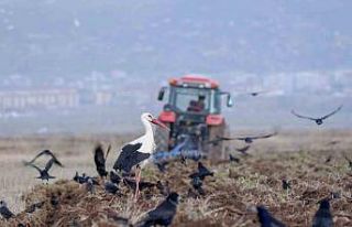 Erzincan’da zirai don uyarısı