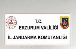 Erzurum’da tarihi eser operasyonu