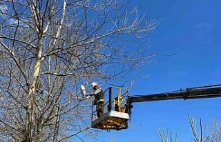 Esenyurt Belediyesi’nden yeşil alanlara bahar dokunuşu