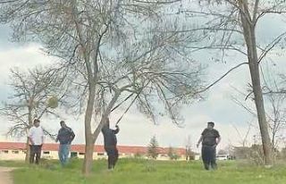 Eskişehir’de ‘mangal için ağaç dalını kırmaya...