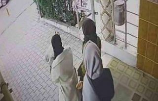 Ev fareleri kameraya yakalandı