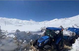 Faraşin Yaylası’nda göçerlerin zorlu dönüşü:...