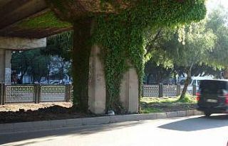 Feci kazada hayatını kaybeden kız, gelinlik ve...