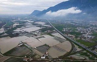 Gediz taşkını yerleşim alanlarına ulaştı