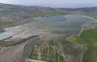 Göçmen kuşların uğrak mekanı, son yağışlarla...