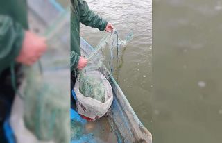 Gölde 800 metre balık ağı ele geçirildi