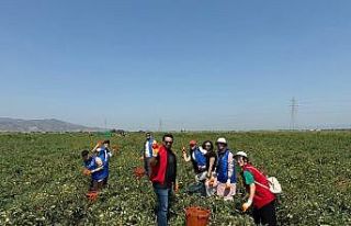 Gönüllü Hasat Etkinliği 2026 yılı takvimi açıklandı