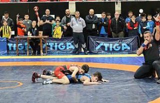 Güreşte Türkiye şampiyonası heyecanı başlıyor