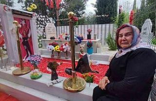 Güvenlik kameralı polis mezarından hırsızlık,...