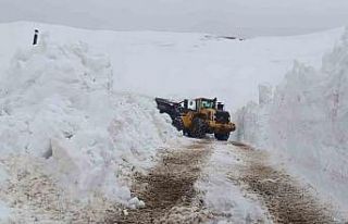 Hakkari’de 46 yerleşim yolu ulaşıma kapandı
