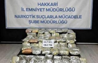 Hakkari’de 64,5 kilogram skunk ele geçirildi