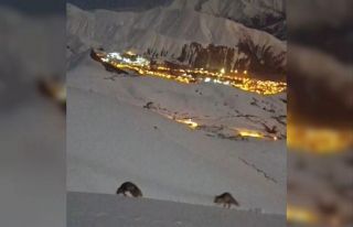 Hakkari’de masalsı şehir görüntüsü eşliğinde...