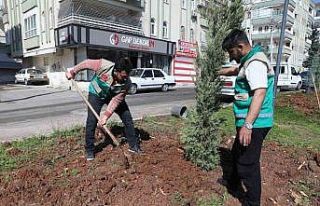 Haliliye’de yaz öncesi parklarda hummalı çalışma