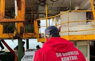 Hamsi kotası için Didim’de denetim yapıldı