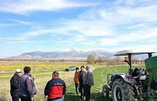 Haşhaş ve hububatta hastalık ve zararlı kontrolleri...