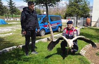 Hasta leylek koruma altına alındı