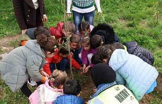 HBB’den çevre bilinci için fidan dikim etkinliği