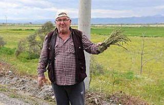 Hem sağlığını koruyor, hem de paylaşmanın mutluluğunu...