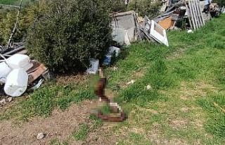 Hepsi zabıta ekiplerinin baskınında ortaya çıktı