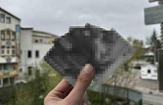 İBAN kullanımında yasa dışı suçlar ve paralar...