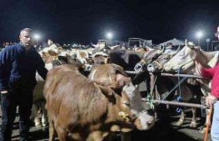İç Anadolu’nun en büyük hayvan pazarında yoğun...