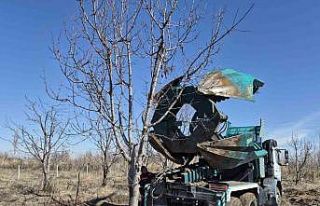 Iğdır’da 15-16 yıllık 77 kiraz ağacı taşınarak...